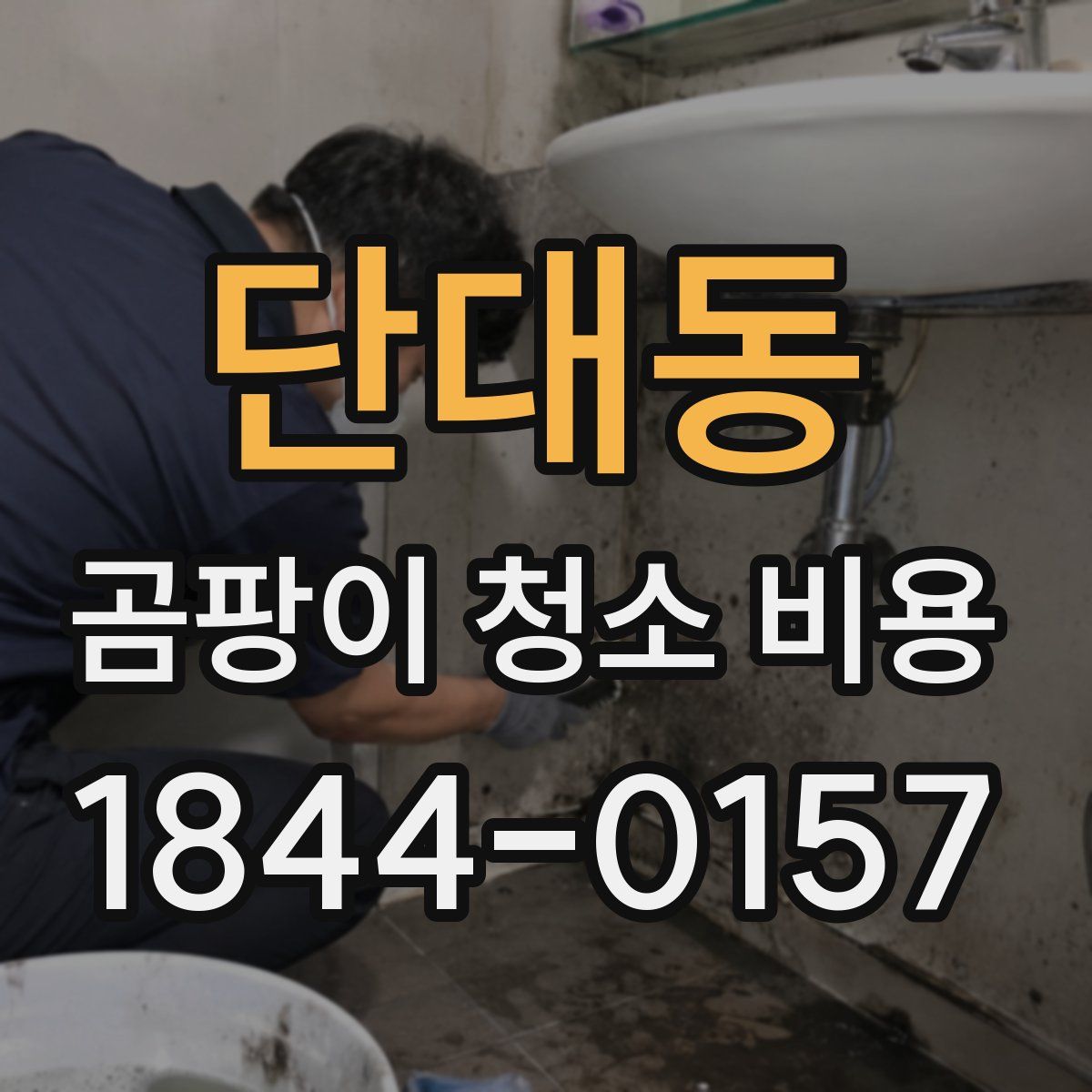 단대동 곰팡이 청소 비용
