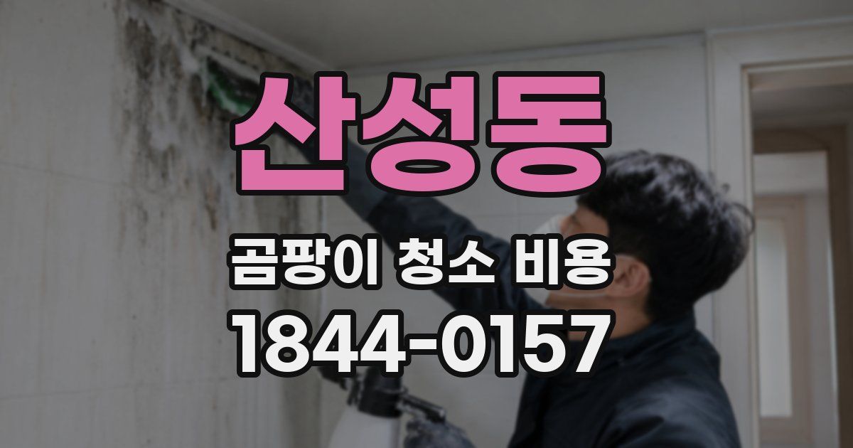 산성동 곰팡이 청소 비용