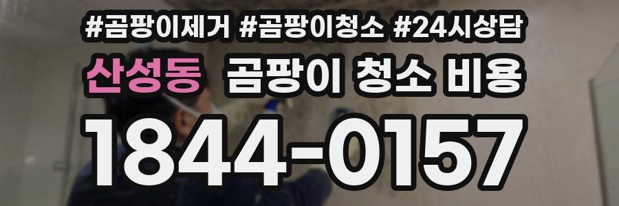 산성동 곰팡이 청소 비용