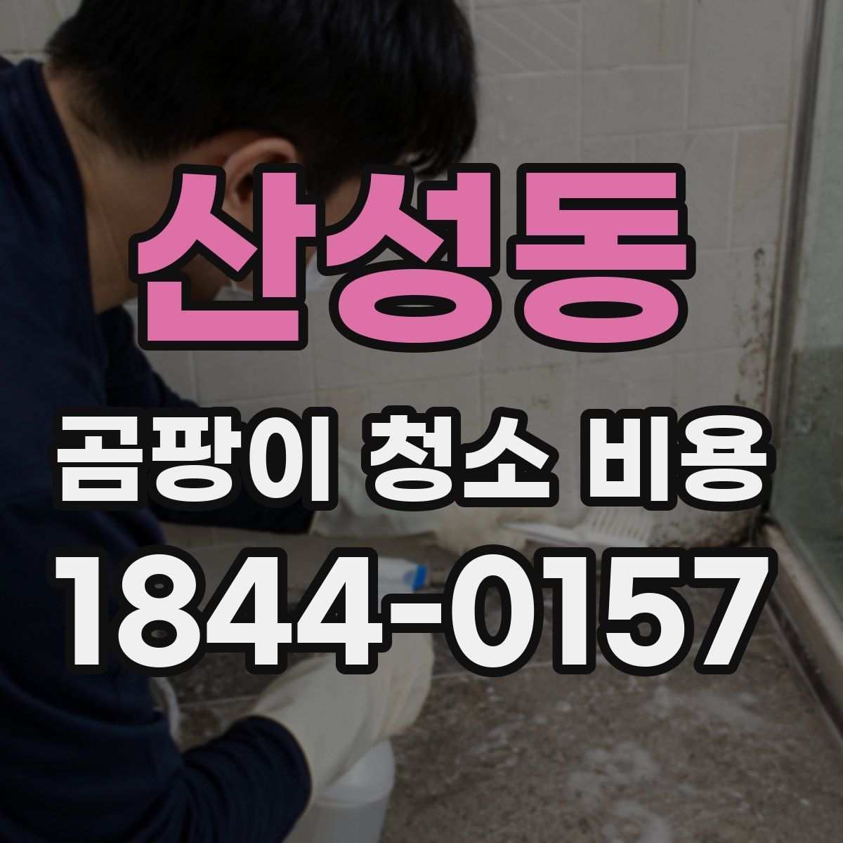 산성동 곰팡이 청소 비용