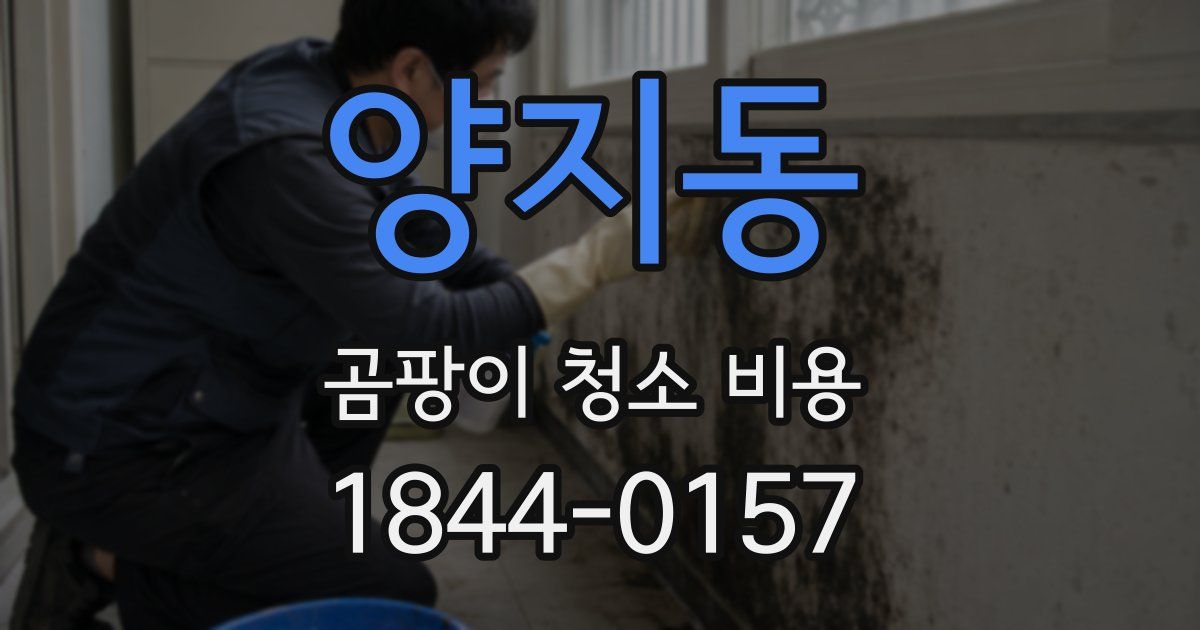 양지동 곰팡이 청소 비용