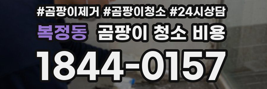 복정동 곰팡이 청소 비용