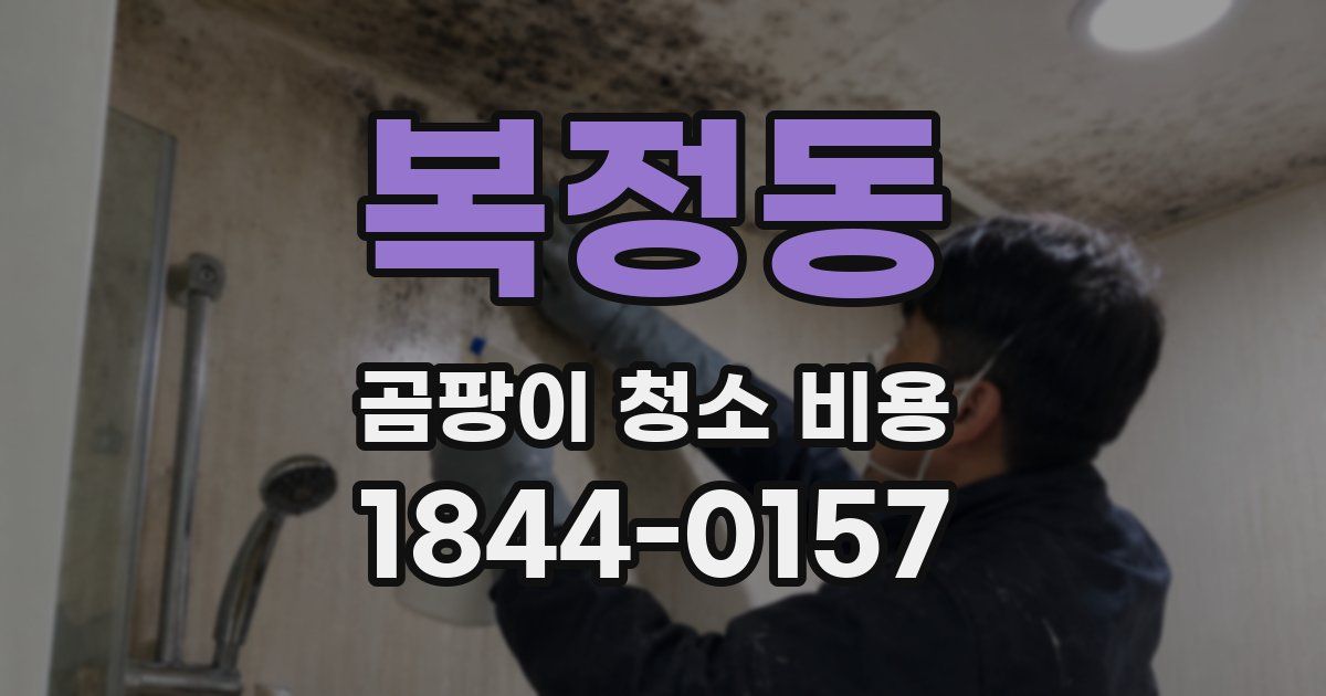 복정동 곰팡이 청소 비용