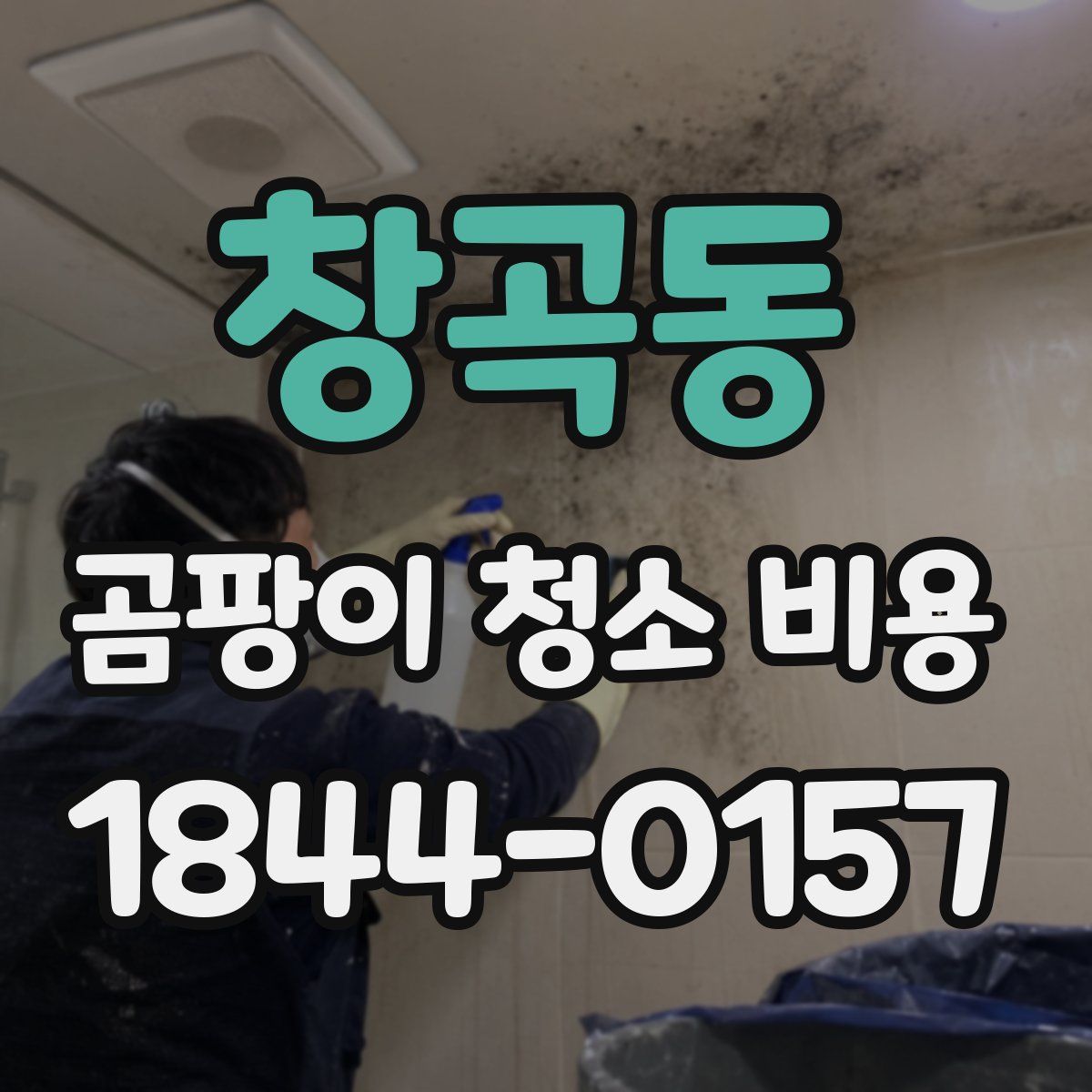 창곡동 곰팡이 청소 비용