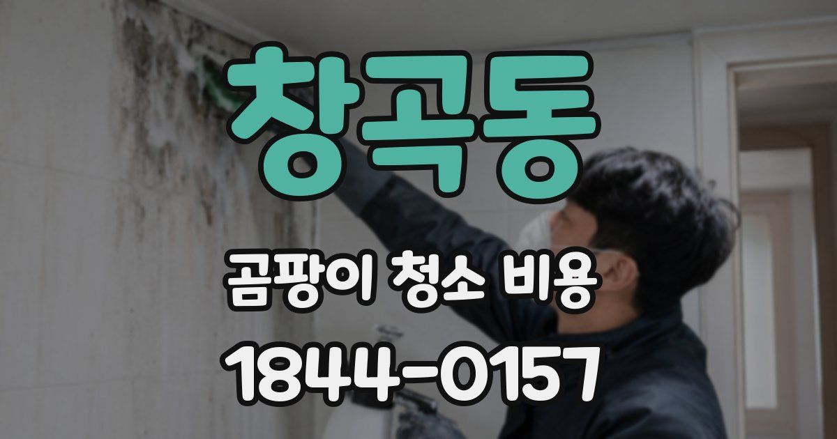 창곡동 곰팡이 청소 비용