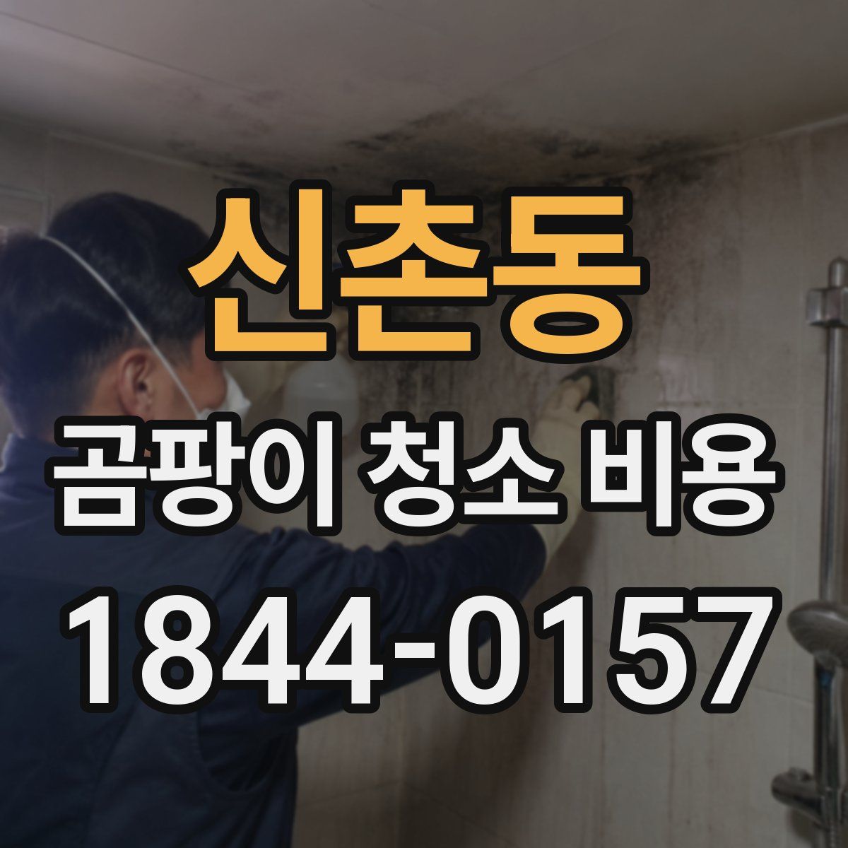 신촌동 곰팡이 청소 비용