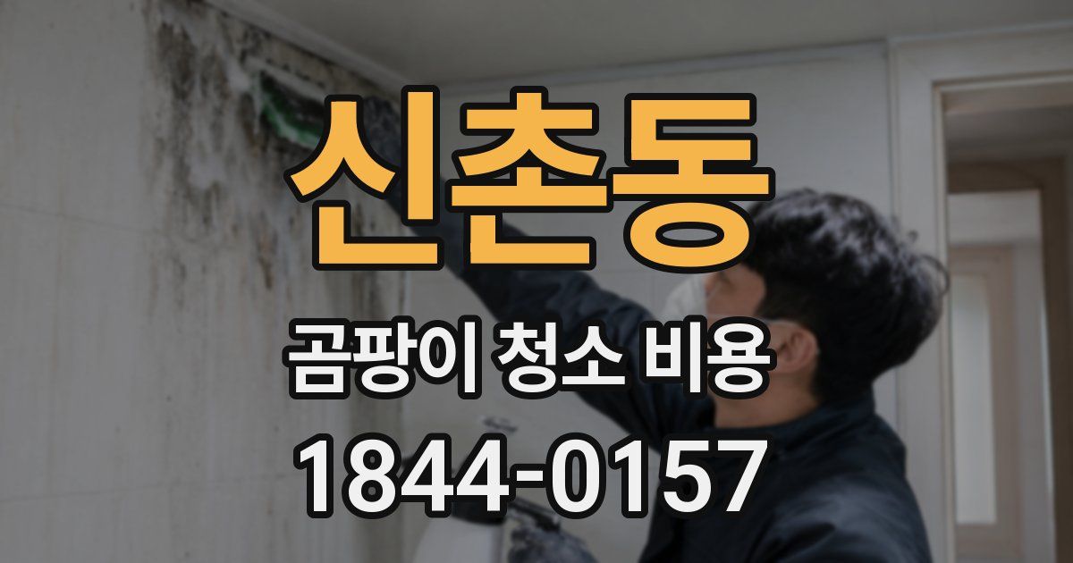 신촌동 곰팡이 청소 비용