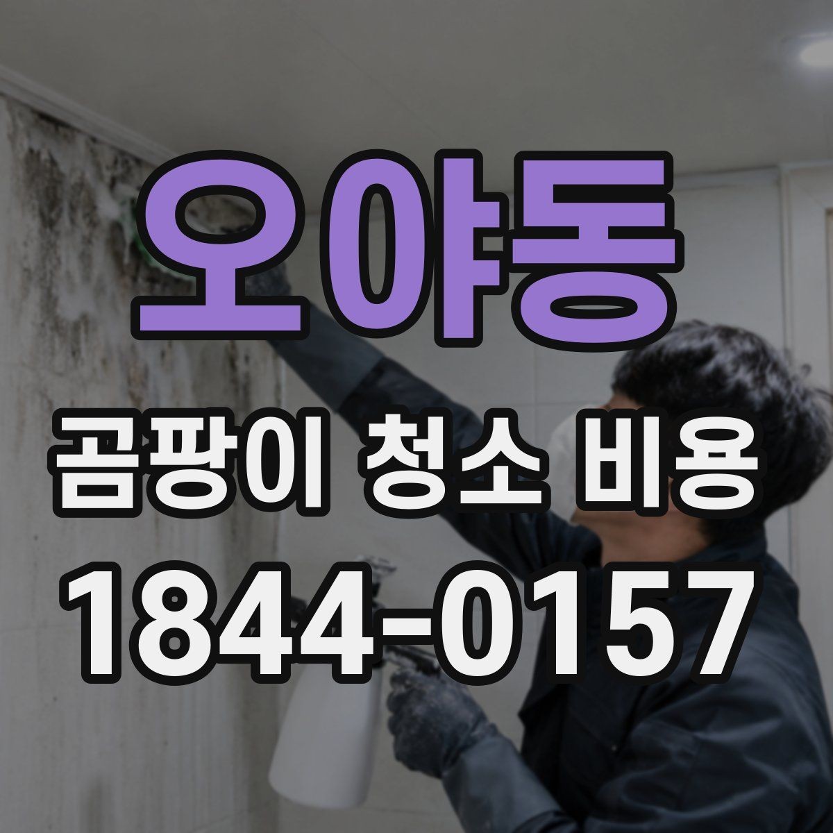 오야동 곰팡이 청소 비용 부분 작업과 전체 작업의 기준 살펴보기
