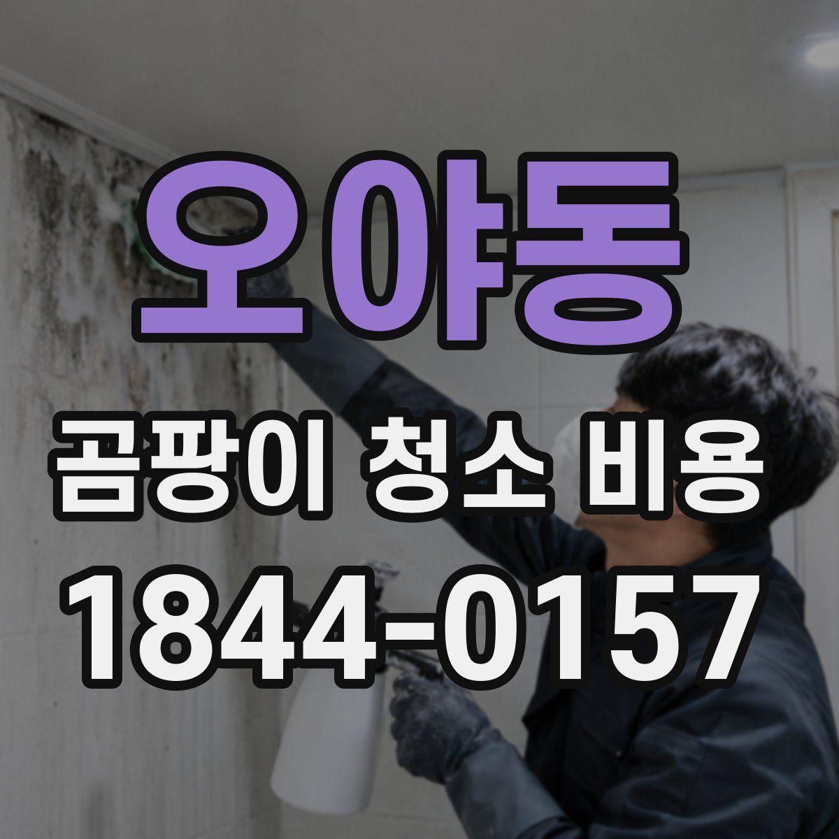오야동 곰팡이 청소 비용
