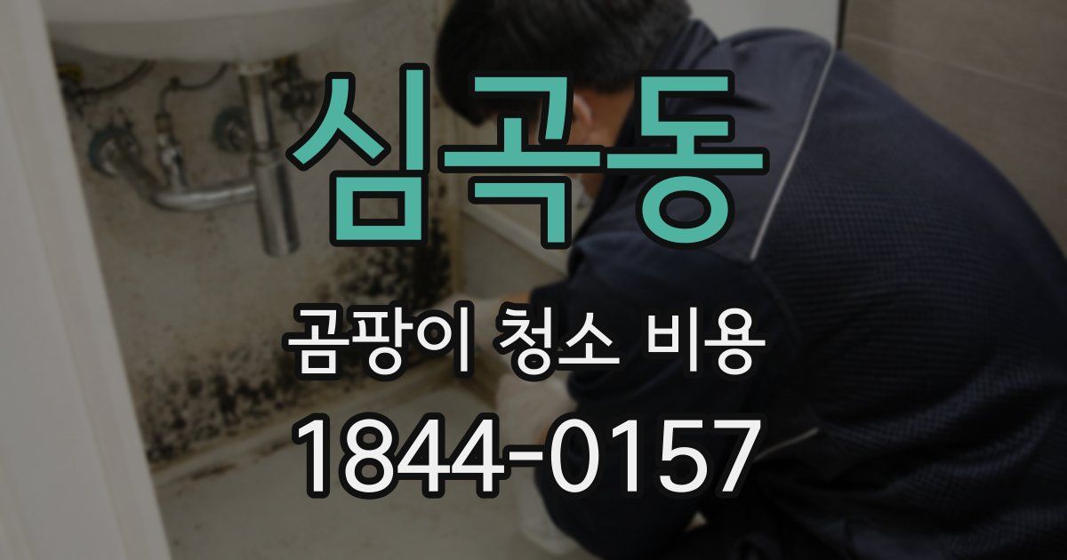심곡동 곰팡이 청소 비용