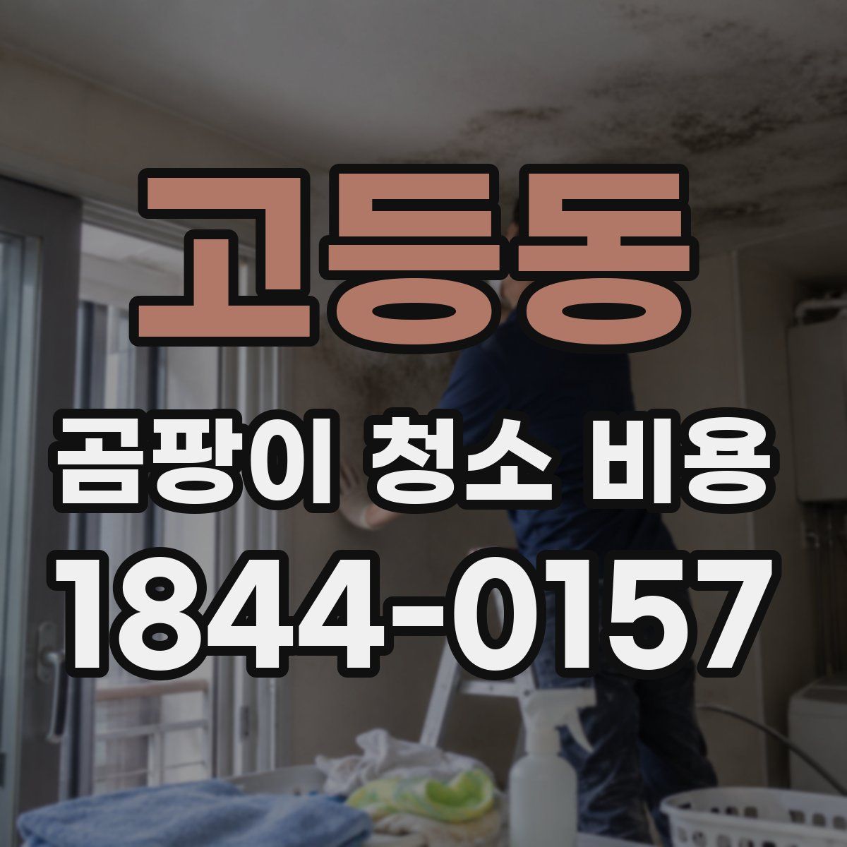 고등동 곰팡이 청소 비용
