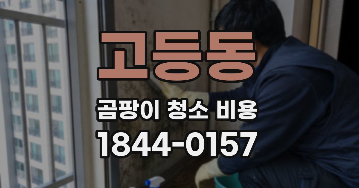 고등동 곰팡이 청소 비용