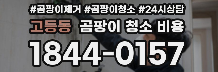고등동 곰팡이 청소 비용