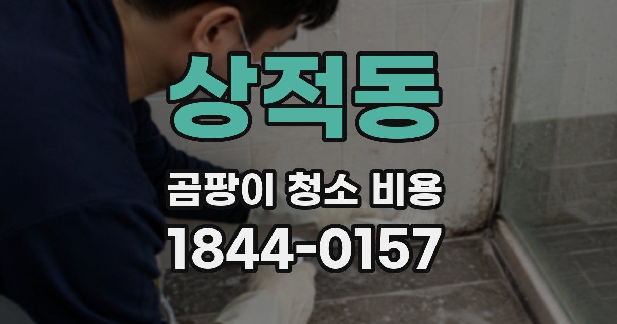 상적동 곰팡이 청소 비용