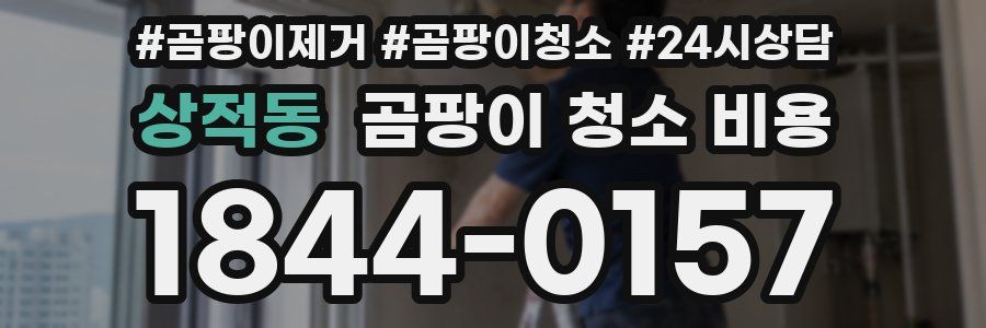 상적동 곰팡이 청소 비용