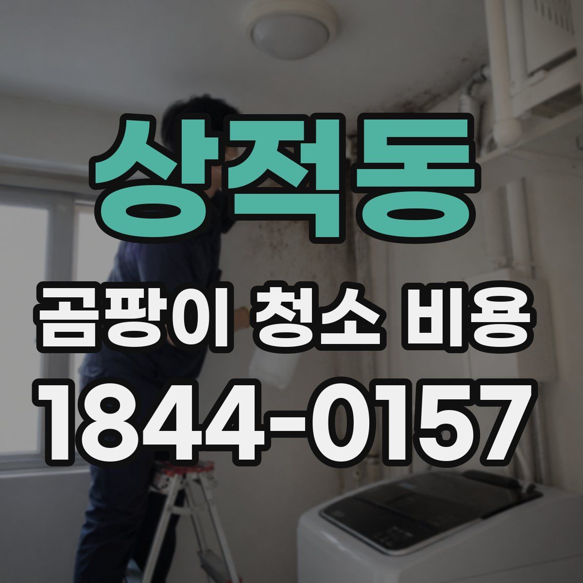 상적동 곰팡이 청소 비용