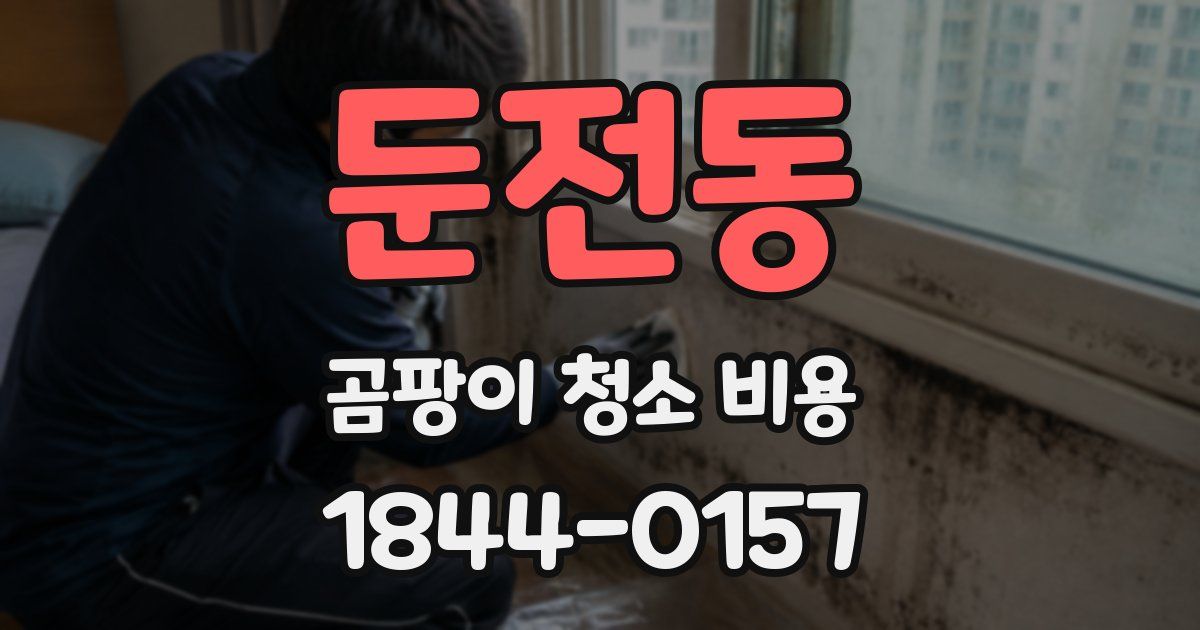 둔전동 곰팡이 청소 비용