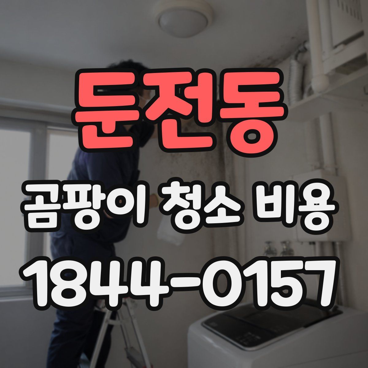 둔전동 곰팡이 청소 비용
