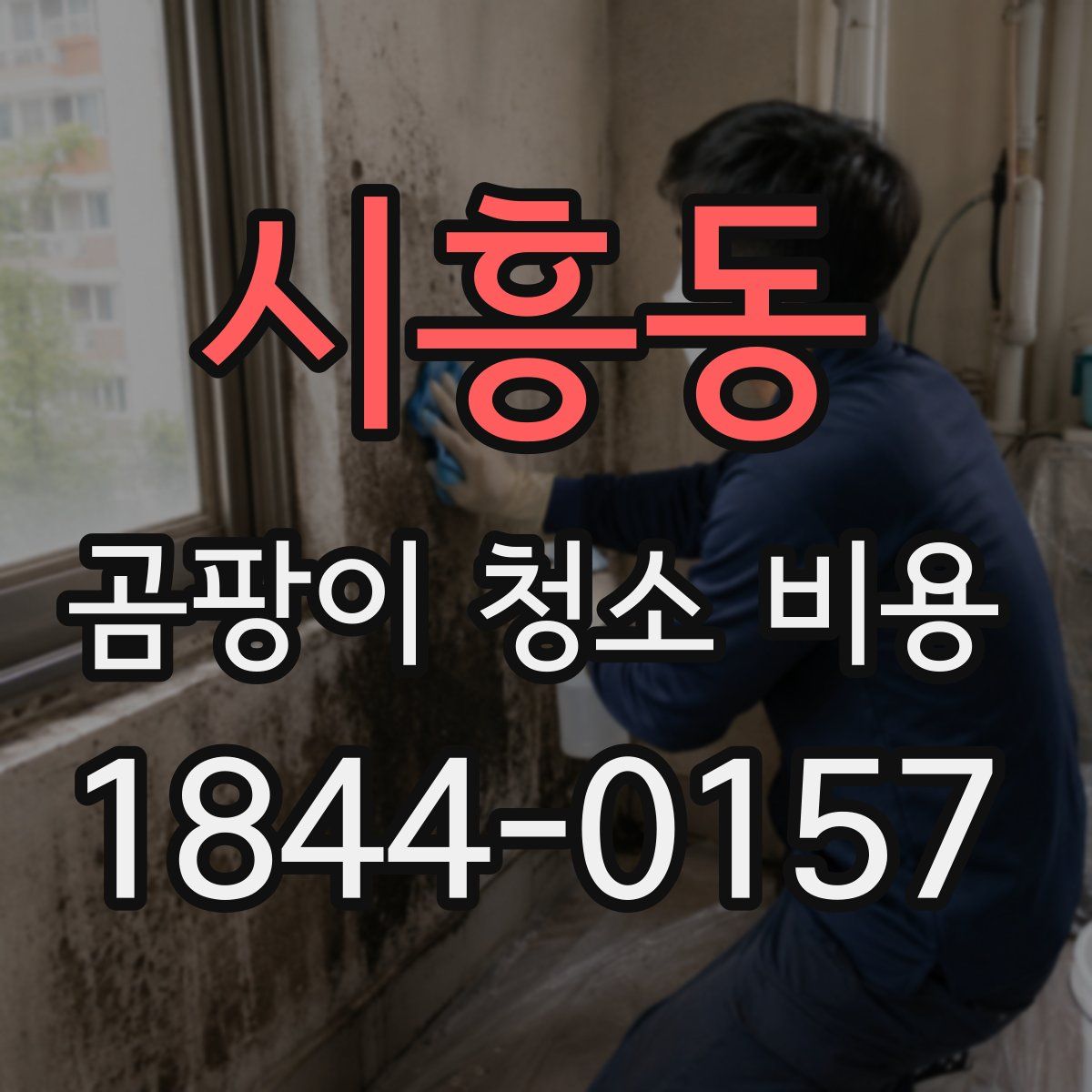 시흥동 곰팡이 청소 비용