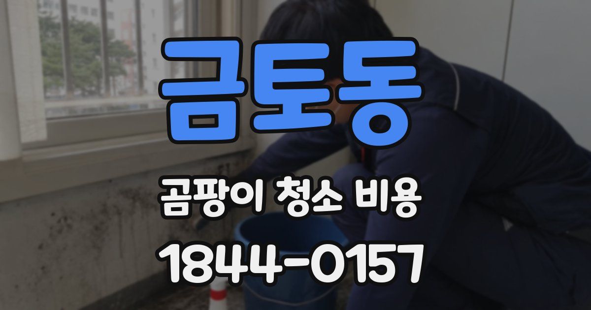 금토동 곰팡이 청소 비용