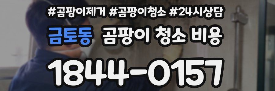 금토동 곰팡이 청소 비용
