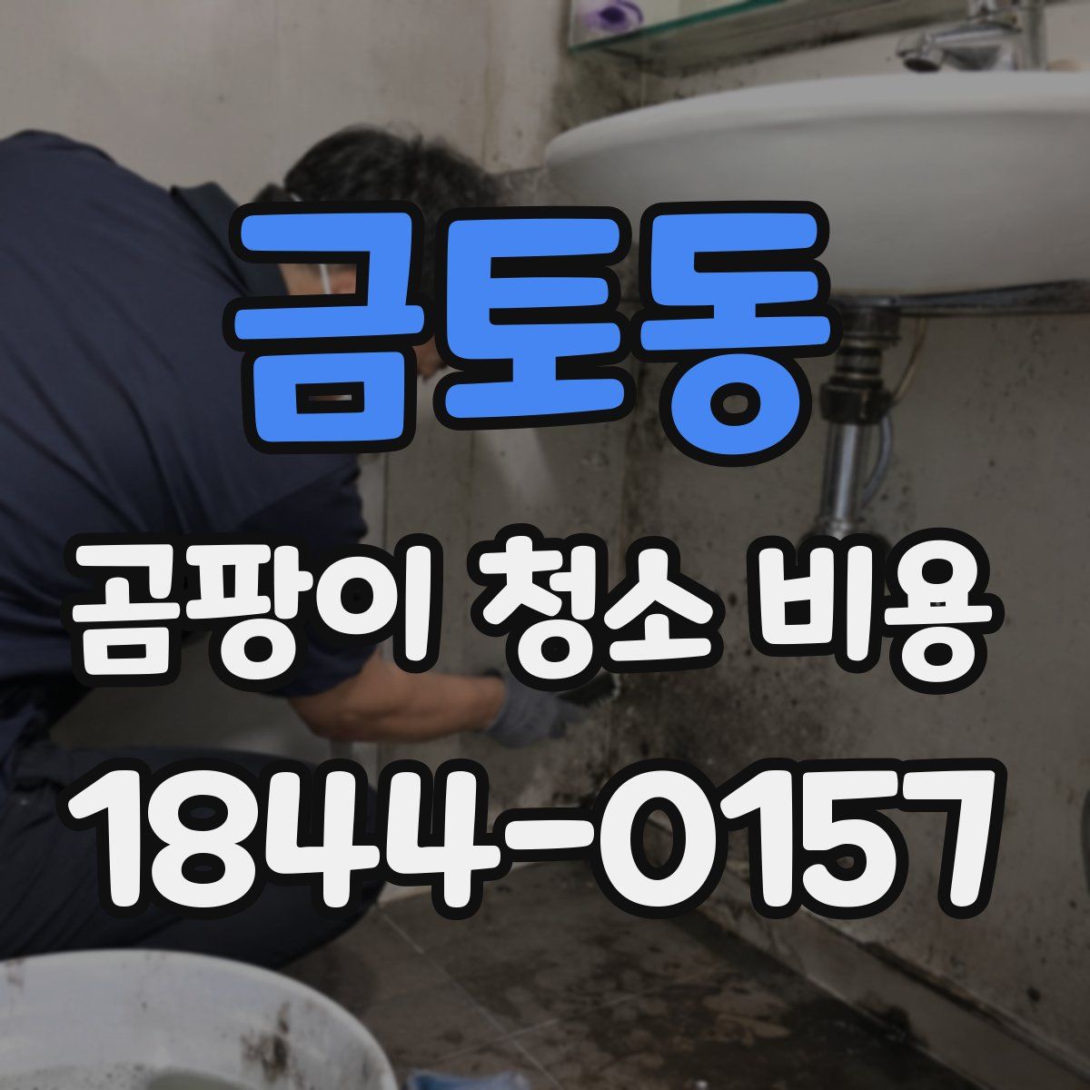 금토동 곰팡이 청소 비용