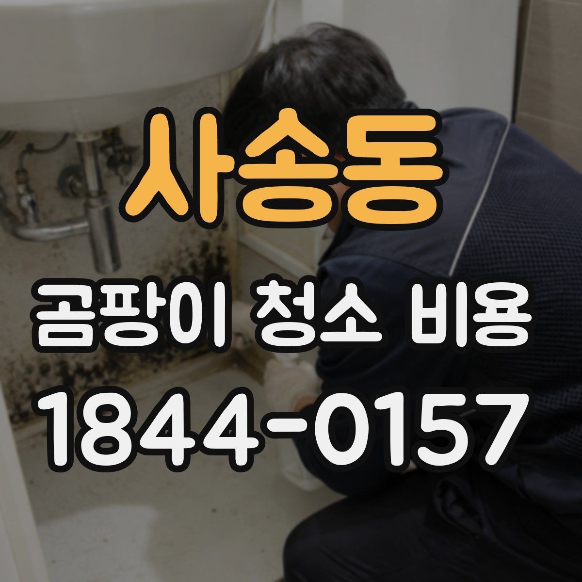 사송동 곰팡이 청소 비용 천장과 실리콘 부위 작업 난이도 차이