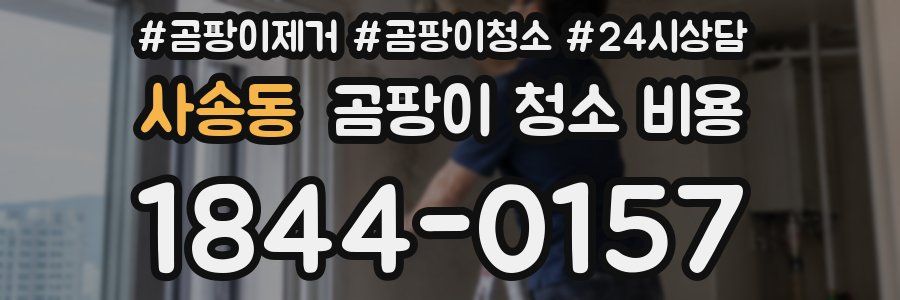 사송동 곰팡이 청소 비용