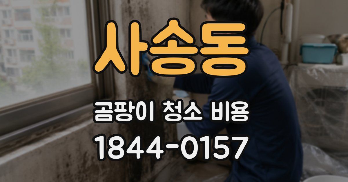 사송동 곰팡이 청소 비용