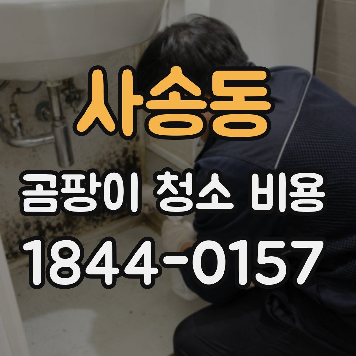 사송동 곰팡이 청소 비용