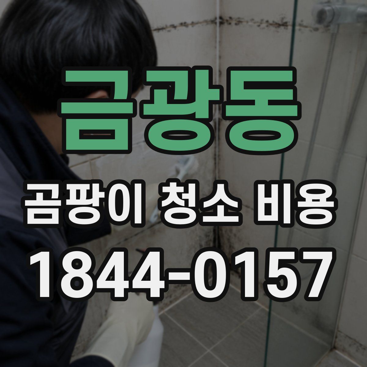 금광동 곰팡이 청소 비용