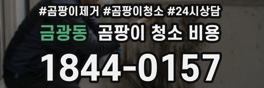 금광동 곰팡이 청소 비용