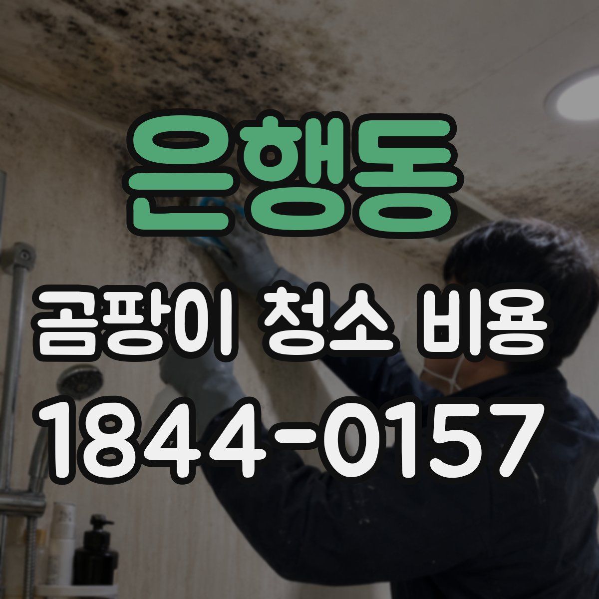 은행동 곰팡이 청소 비용
