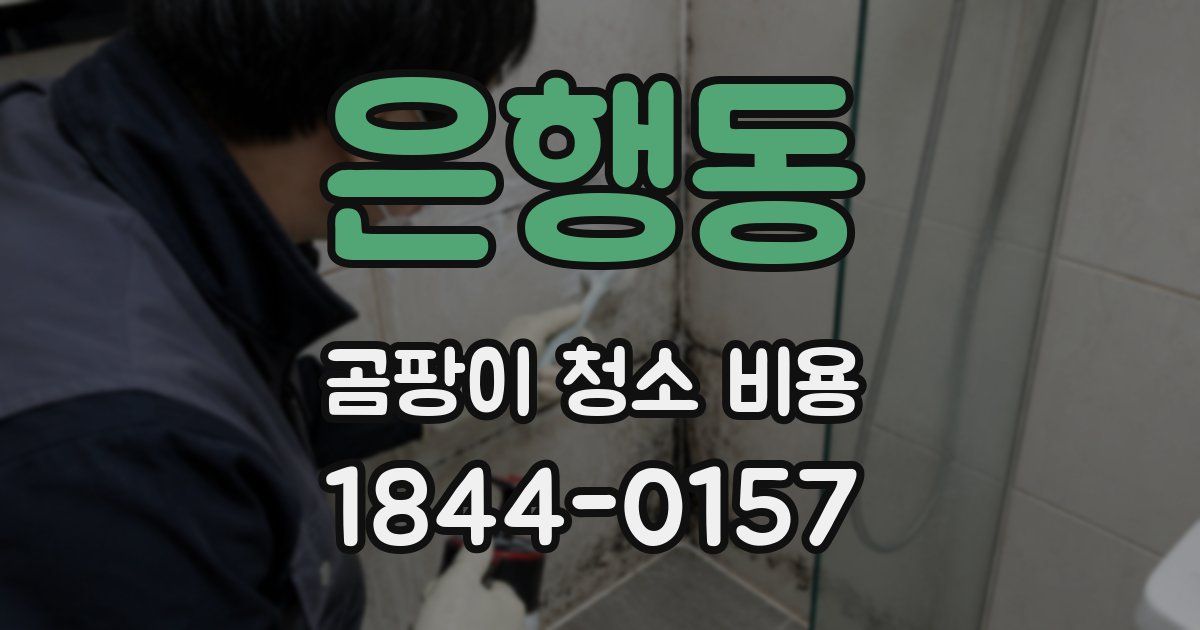 은행동 곰팡이 청소 비용