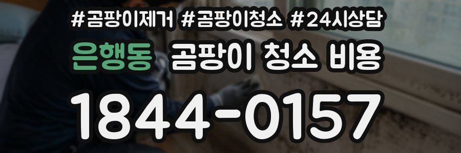 은행동 곰팡이 청소 비용