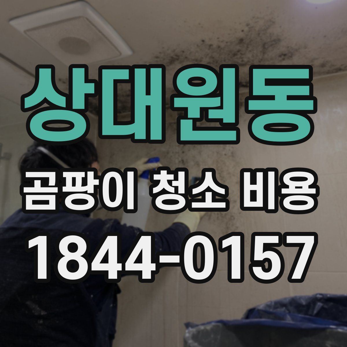 상대원동 곰팡이 청소 비용