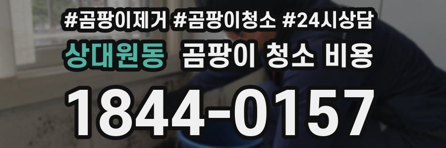 상대원동 곰팡이 청소 비용