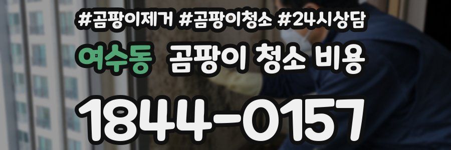 여수동 곰팡이 청소 비용