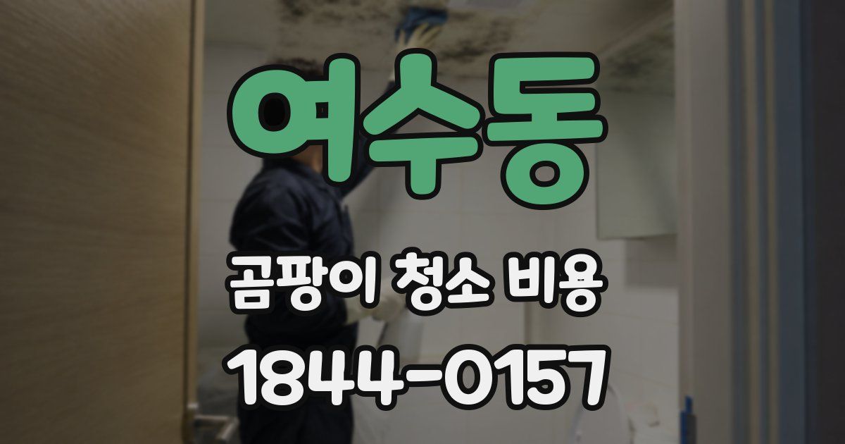 여수동 곰팡이 청소 비용