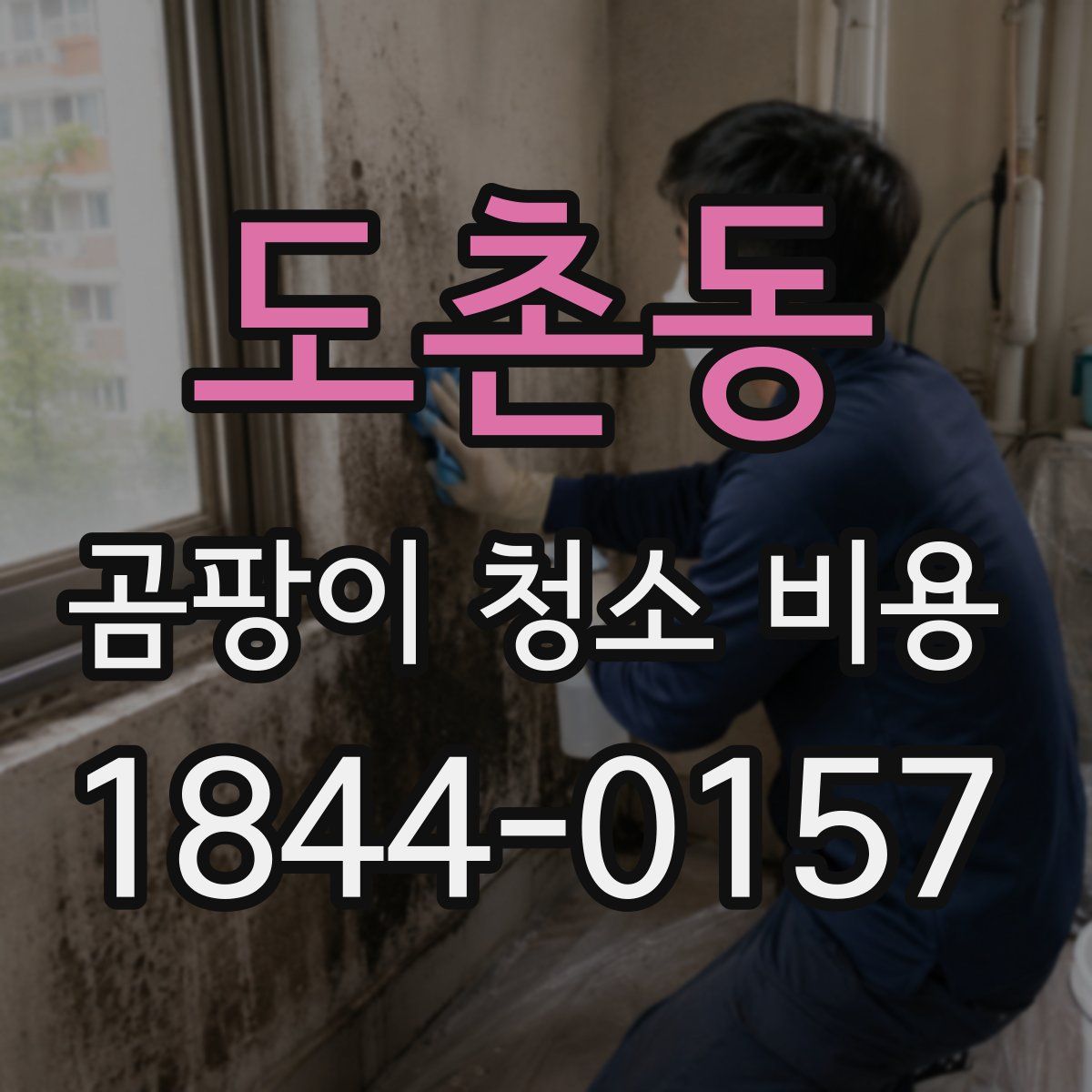 도촌동 곰팡이 청소 비용