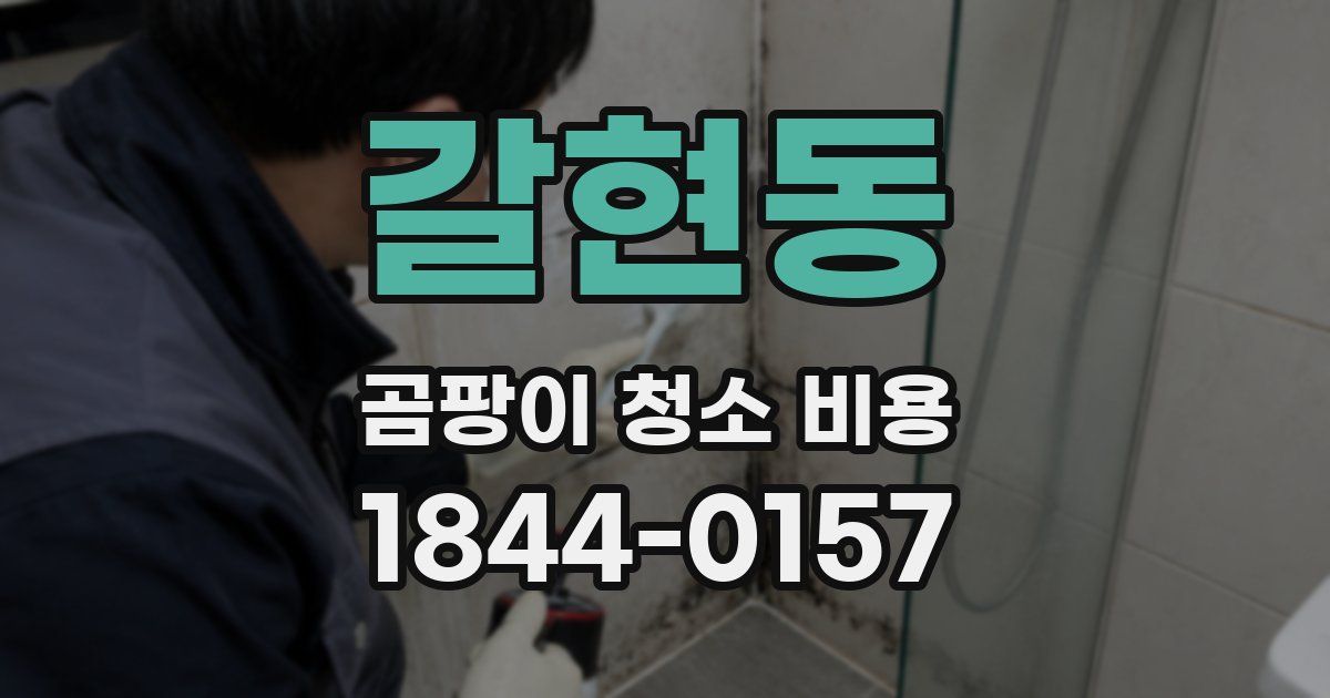 갈현동 곰팡이 청소 비용