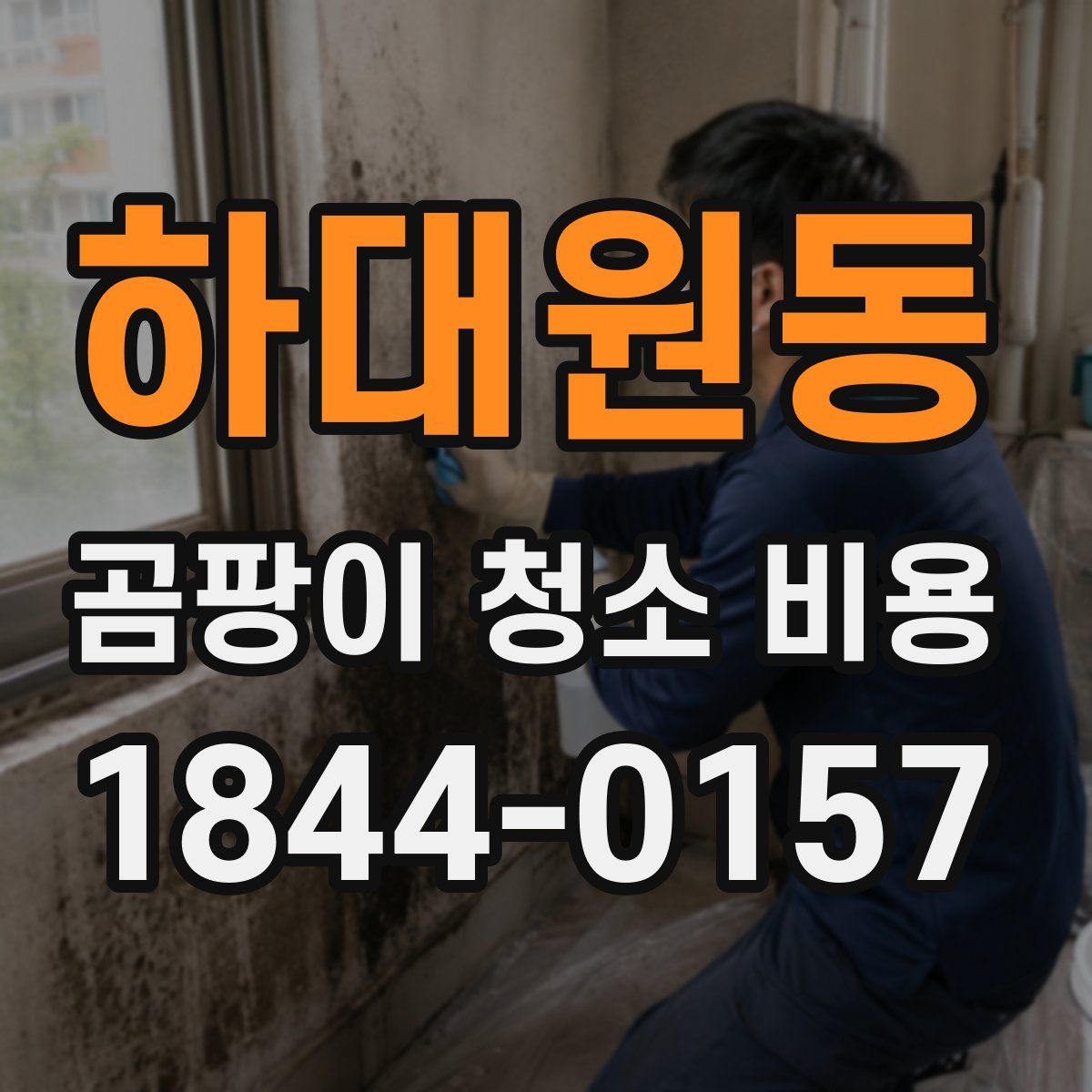 하대원동 곰팡이 청소 비용