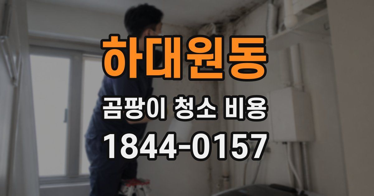 하대원동 곰팡이 청소 비용
