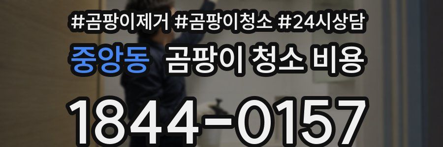 중앙동 곰팡이 청소 비용