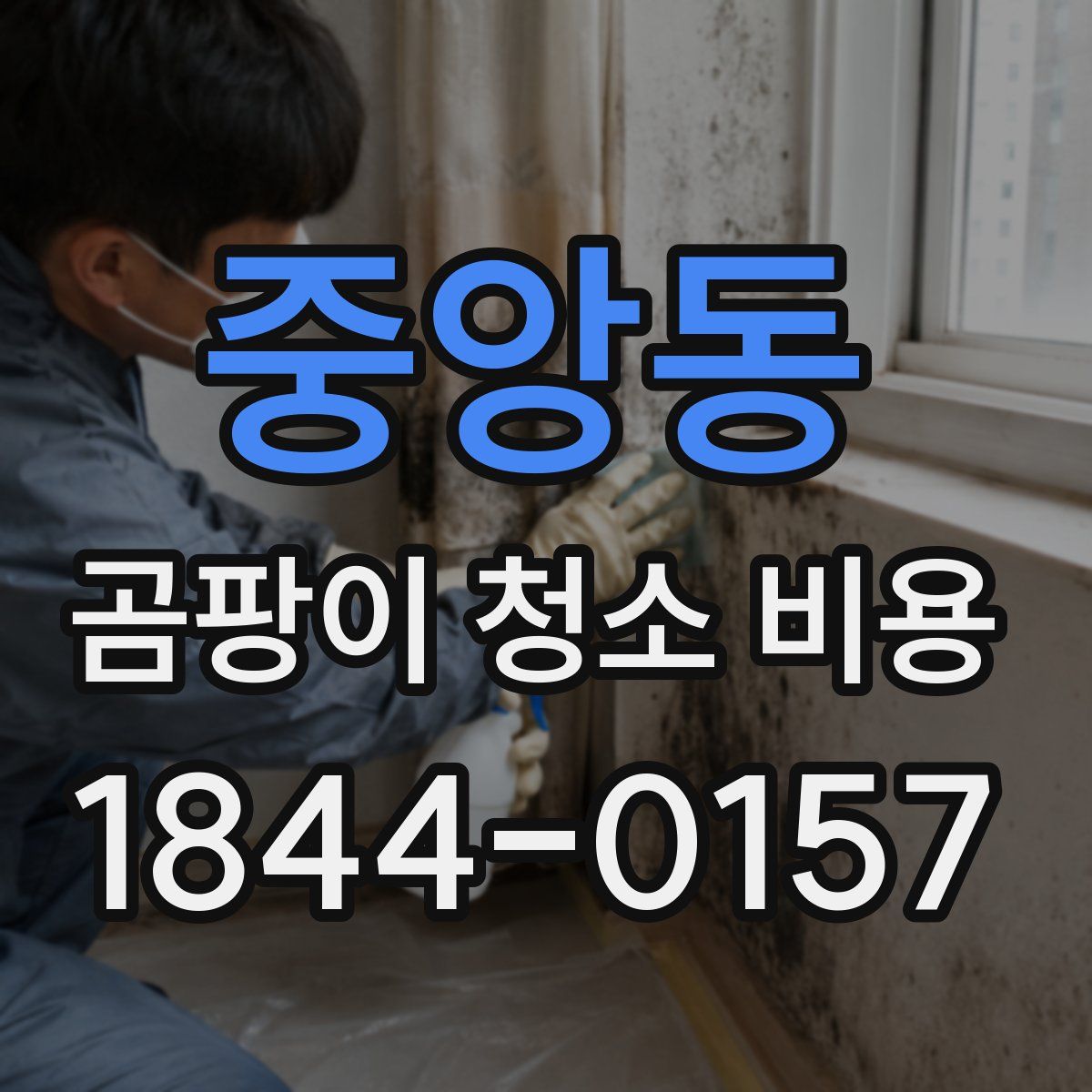 중앙동 곰팡이 청소 비용