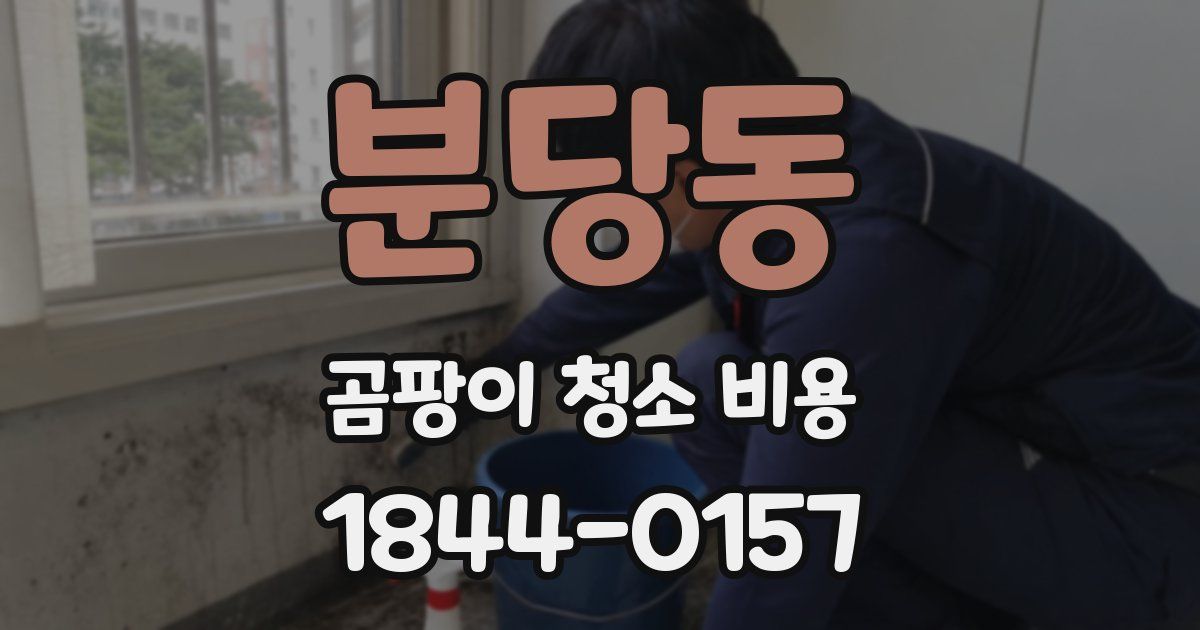 분당동 곰팡이 청소 비용