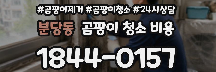 분당동 곰팡이 청소 비용