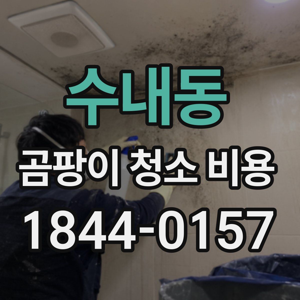 수내동 곰팡이 청소 비용
