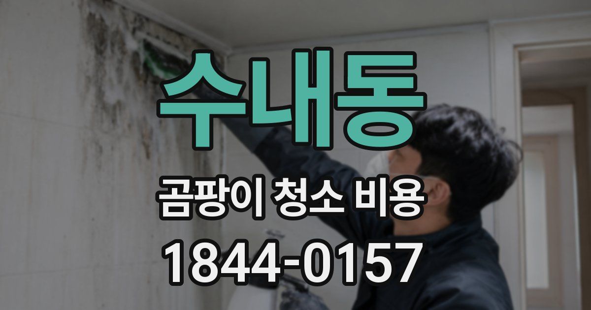 수내동 곰팡이 청소 비용