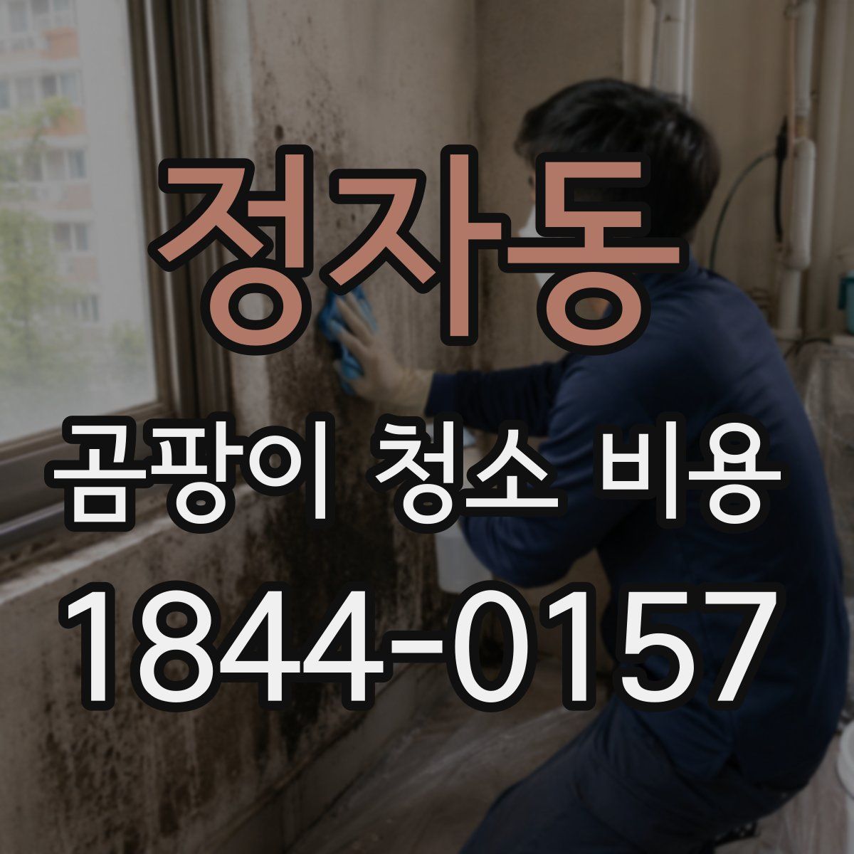 정자동 곰팡이 청소 비용